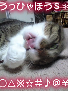 c0035001_14533911.jpg