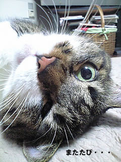 c0035001_14534211.jpg