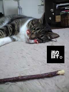 c0035001_1453663.jpg