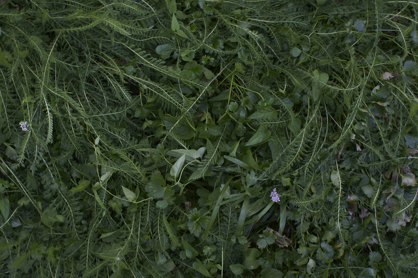 c0120903_164233.jpg