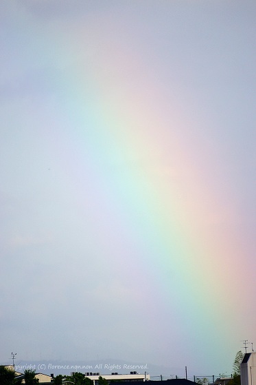 e0137705_20264282.jpg