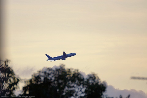 e0137705_2028594.jpg