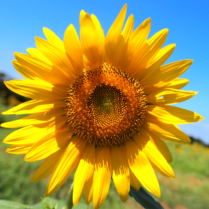 d0036708_20263591.jpg