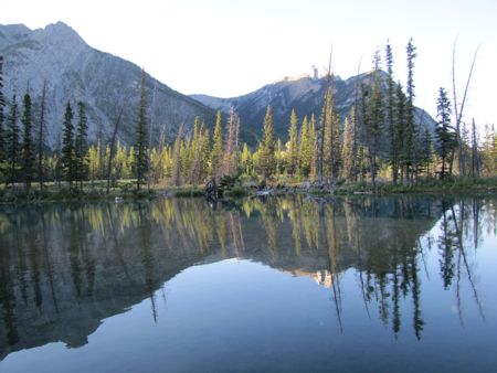 b0051109_572550.jpg