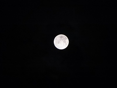 b0151911_0515762.jpg