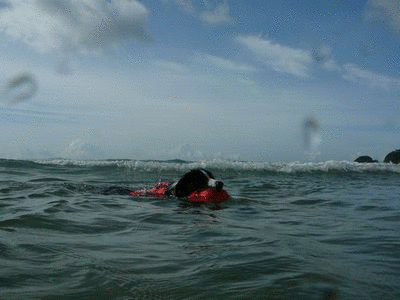 d0224111_15501685.gif