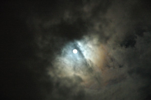 f0000211_21482773.jpg