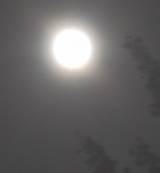 e0122219_18422927.jpg