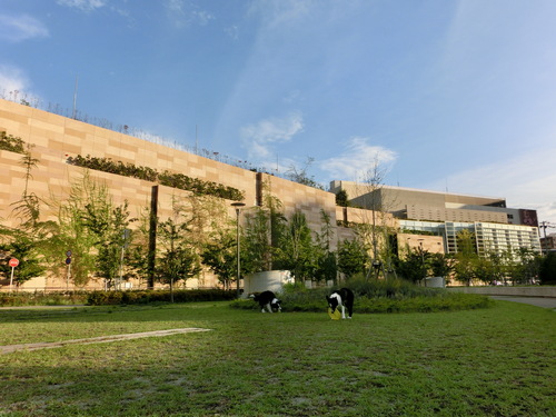 e0179321_22583181.jpg