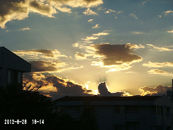 b0068423_2148642.jpg