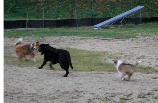 b0066826_1631197.gif