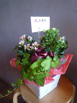 c0150632_2183988.jpg