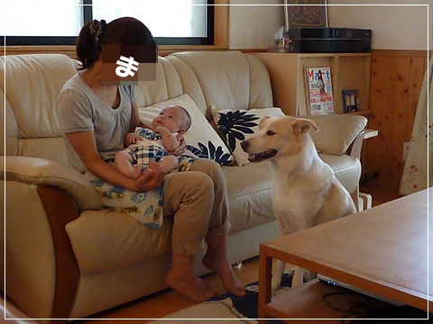d0140133_92718100.jpg