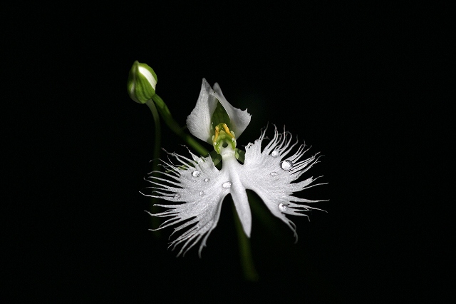 a0242438_8101850.jpg