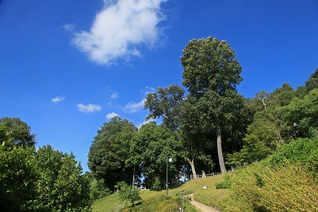 a0242438_8114566.jpg