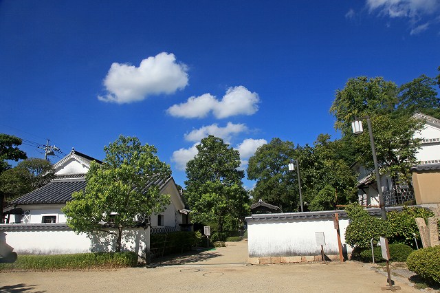 a0242438_8123097.jpg