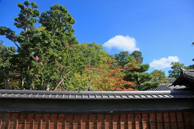 a0242438_8131016.jpg