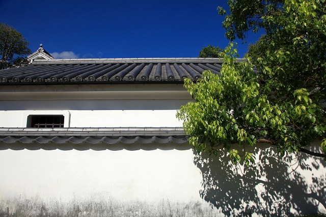 a0242438_892936.jpg