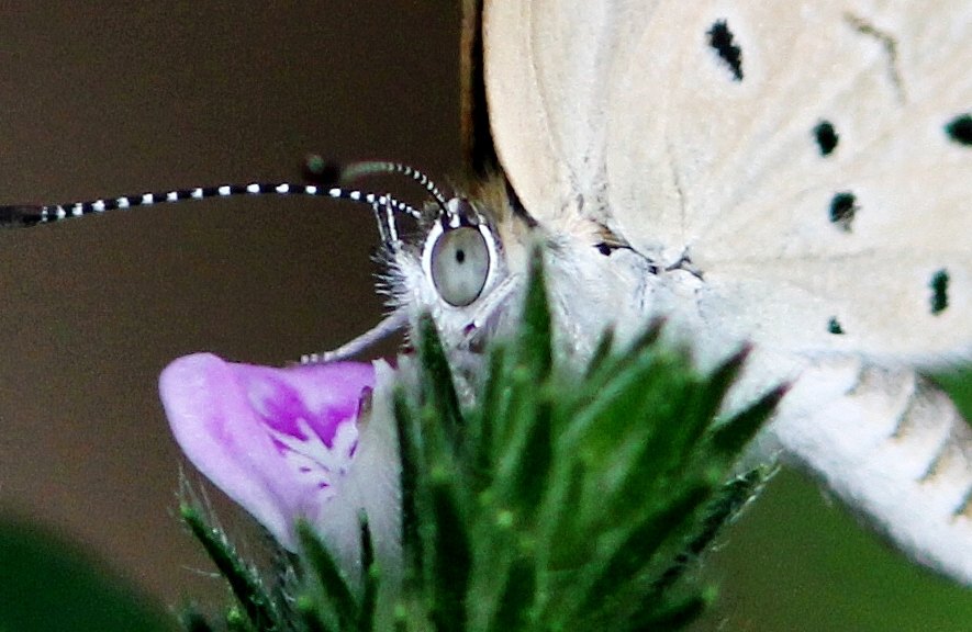c0172139_23511949.jpg