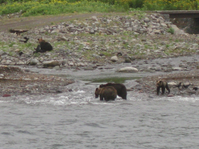 f0141840_0102952.jpg