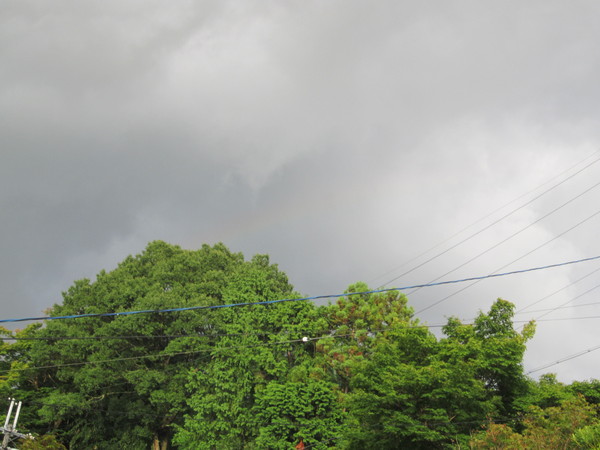 b0132746_2395222.jpg