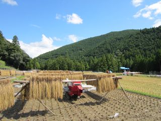 a0054948_16374555.jpg