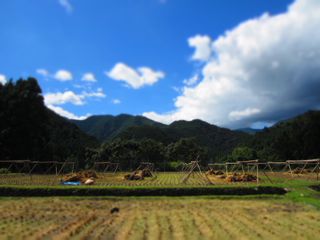 a0054948_1637539.jpg