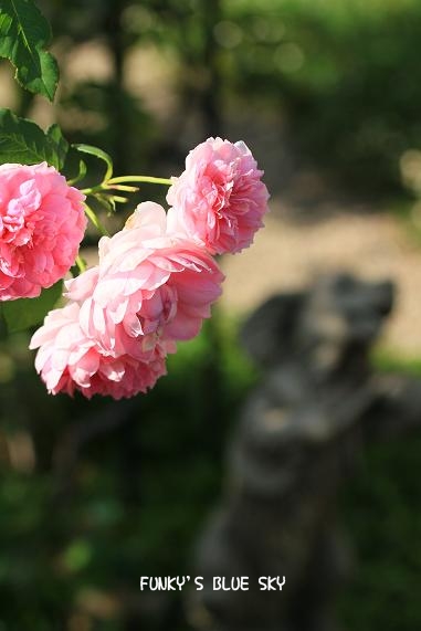 c0145250_1622748.jpg