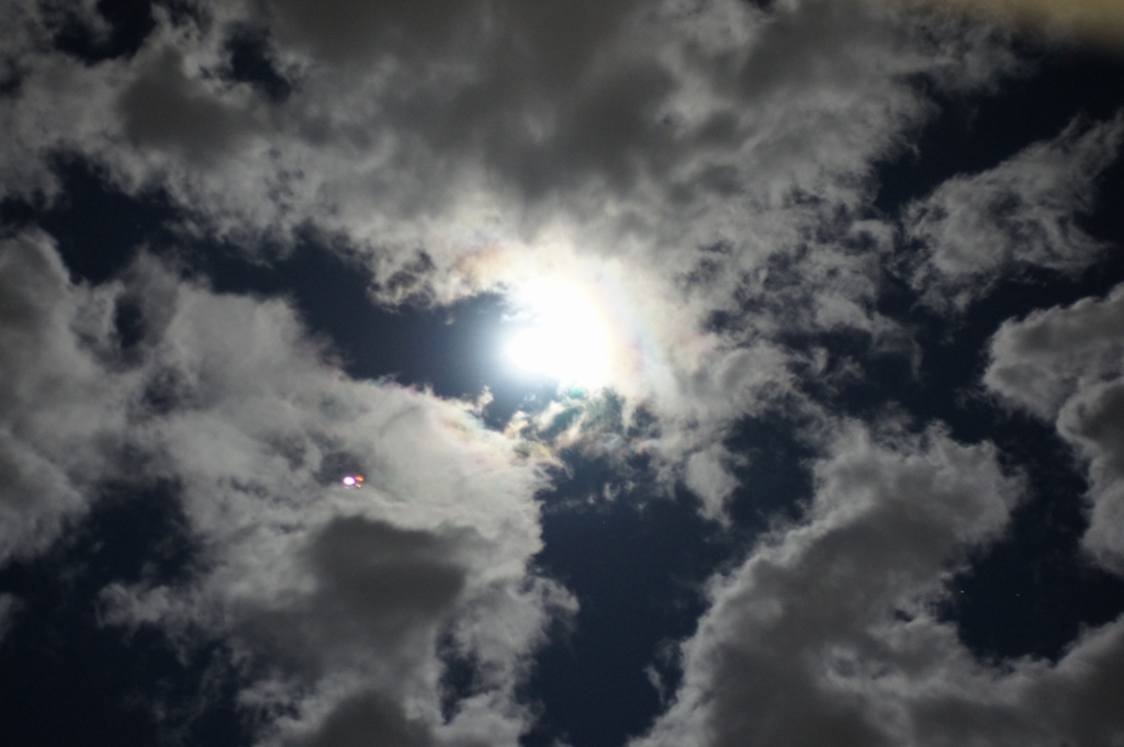 e0259451_816571.jpg