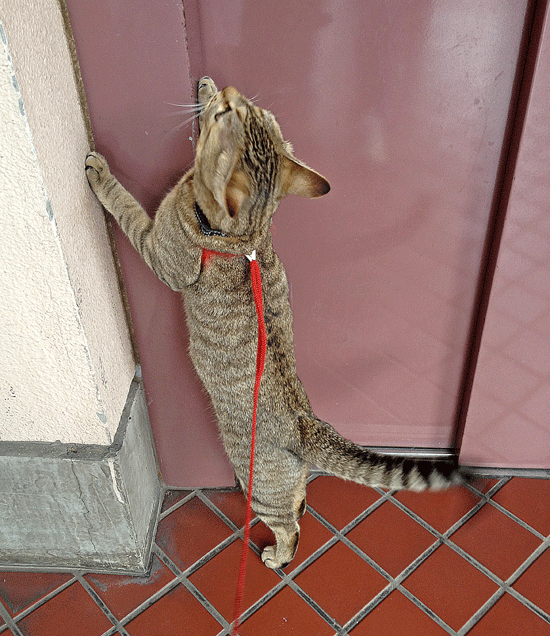 a0001354_22284597.gif