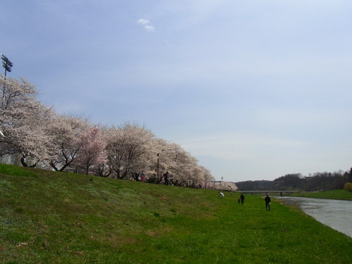 a0149356_11474130.jpg