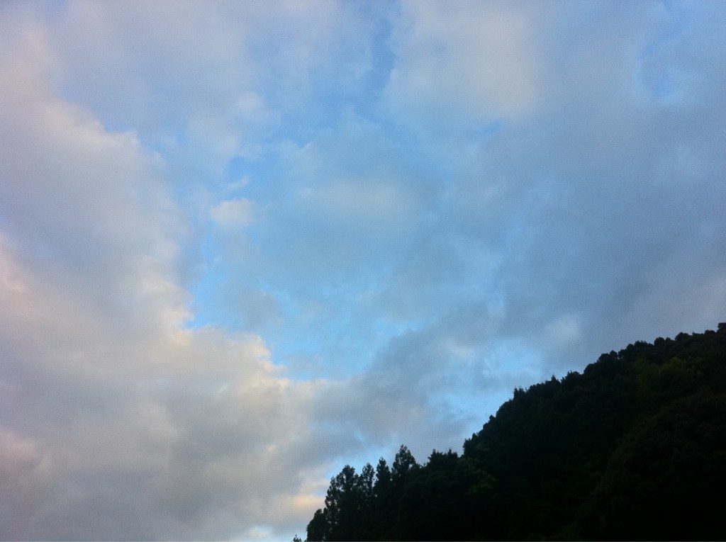 b0002156_549851.jpg