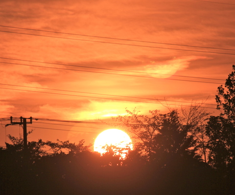 a0248459_1441878.jpg