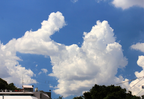 a0248459_1905319.jpg
