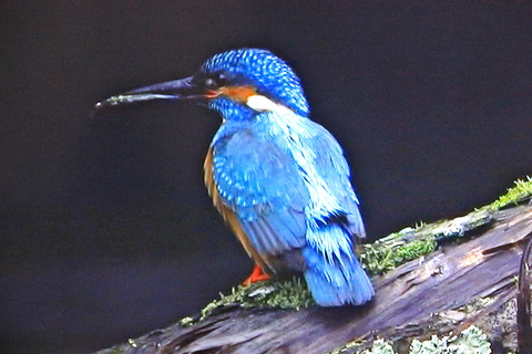 a0248459_192091.jpg