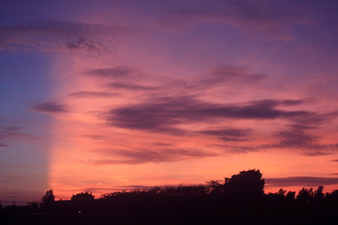 a0248459_1925097.jpg