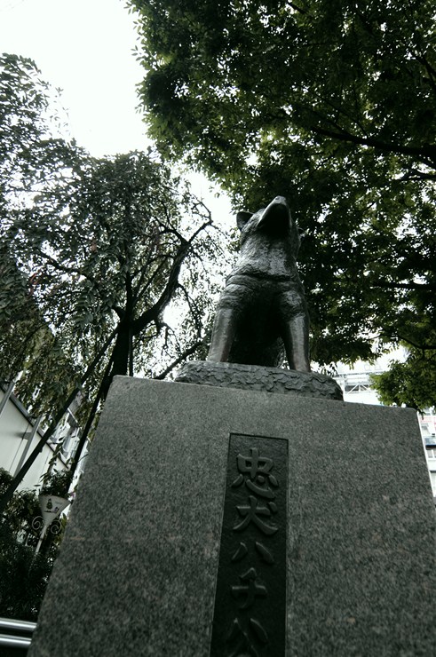 f0222161_23442724.jpg