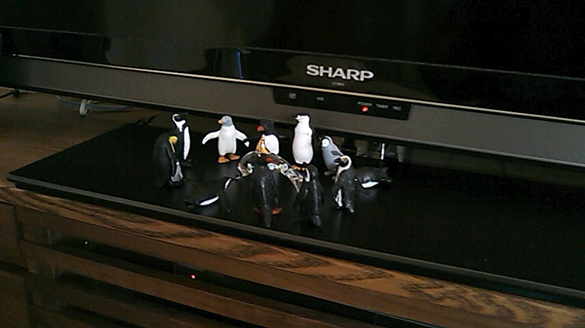 b0242064_985574.jpg