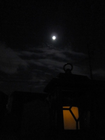d0120665_0101531.jpg