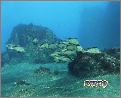 e0273365_7491516.jpg