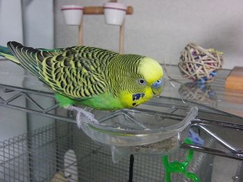 f0196665_8463551.jpg