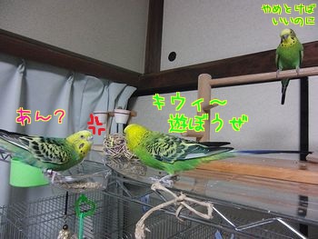 f0196665_8551797.jpg