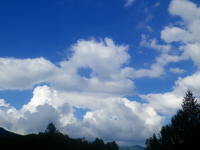f0182173_13252821.jpg