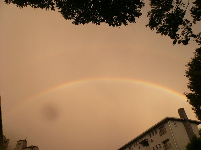 d0147774_0434320.jpg