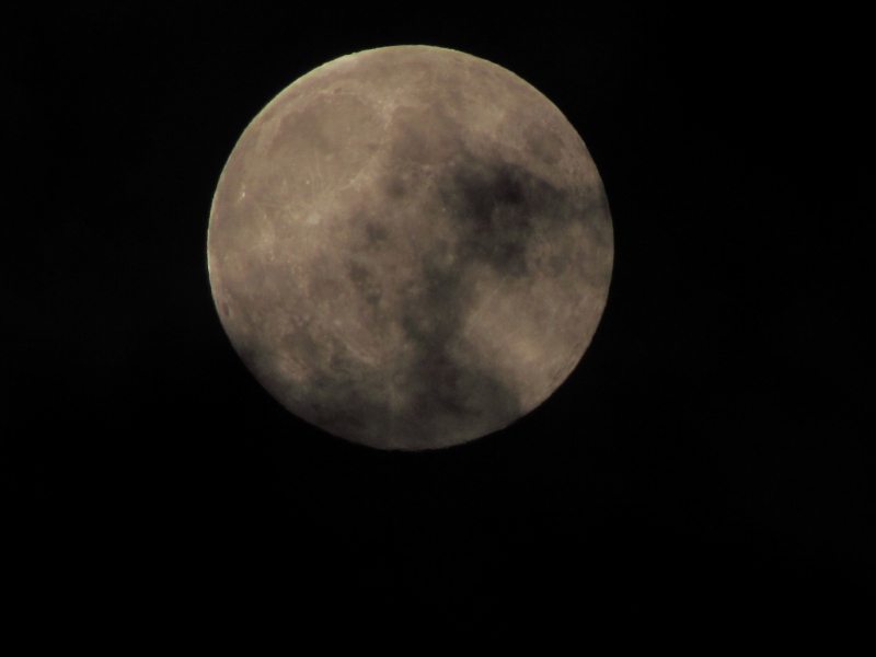 c0183777_5205049.jpg