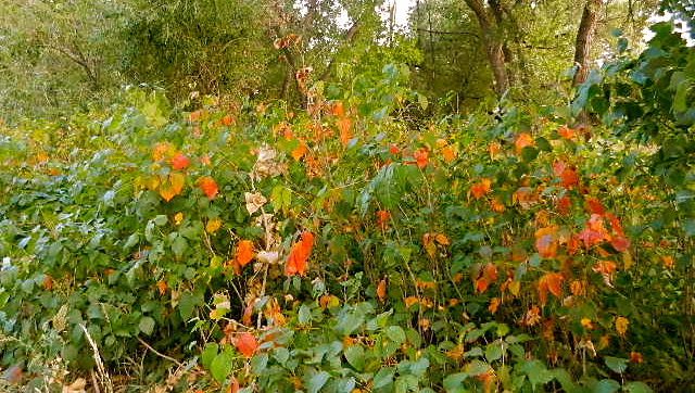 d0260278_12531712.jpg