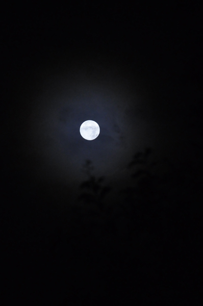 c0187782_2133515.jpg