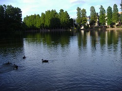 a0142083_22214136.jpg