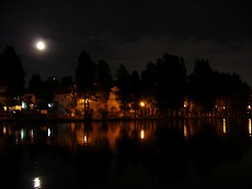 a0142083_22335158.jpg