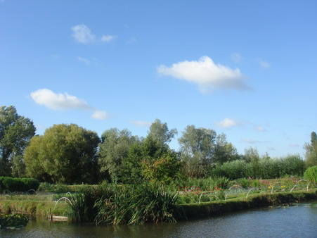 a0247585_559190.jpg